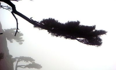 单反VS无反：摄影器材终极对决！一篇文章让你彻底告别选择困难症 - 图画吧TUHUABA