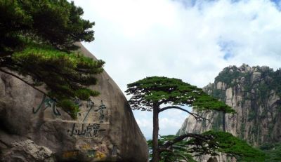 单反VS无反：摄影器材终极对决！一篇文章让你彻底告别选择困难症 - 图画吧TUHUABA