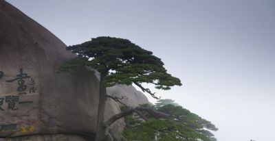 单反VS无反：摄影器材终极对决！一篇文章让你彻底告别选择困难症 - 图画吧TUHUABA