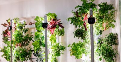 智能种植舱来了，在家也能拥有“菜园子” - 今日头条