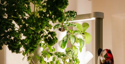 智能种植舱来了，在家也能拥有“菜园子” - 图画吧TUHUABA