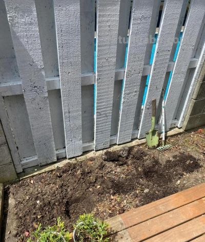 云南一姑娘,将多肉种在地里,一不留神长成“巨无霸”,真壮观 - 今日头条 云南一姑娘,将多肉种在地里,一不留神长成“巨无霸”,真壮观 - 图画吧TUHUABA