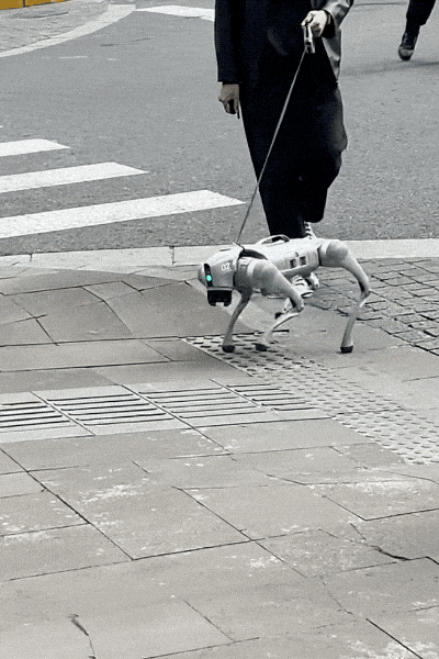 全球百万网友迷上赛博「养鱼」，我也被这群AI小丑鱼拿捏了 - 今日头条