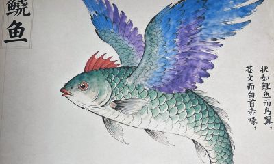 给一年级娃讲山海经：这个 “长翅膀的鱼”，比奥特曼还酷 - 今日头条