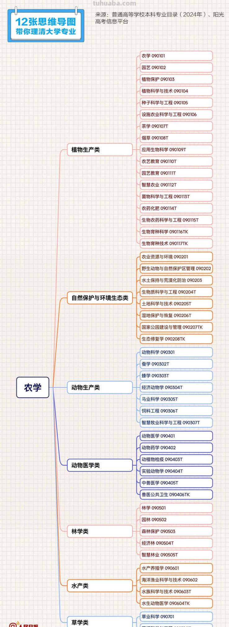 转存收藏！12张思维导图理清大学专业 - 图画吧TUHUABA