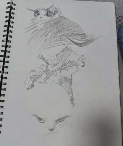 40+零基础素描:昨天报名今天开课,我全程没用一次橡皮 - 今日头条 40+零基础素描:昨天报名今天开课,我全程没用一次橡皮 - 图画吧TUHUABA