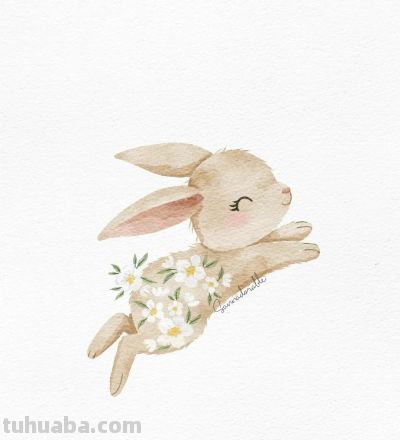 插画师Sanna Sjöström，她以治愈系数字水彩动物插画闻名 - 图画吧TUHUABA