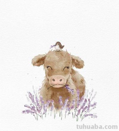 插画师Sanna Sjöström，她以治愈系数字水彩动物插画闻名 - 图画吧TUHUABA