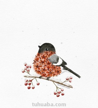 插画师Sanna Sjöström，她以治愈系数字水彩动物插画闻名 - 图画吧TUHUABA