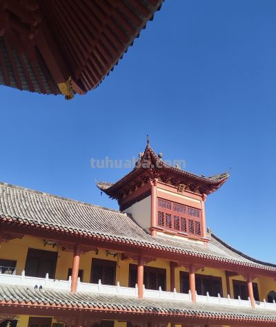 别再瞎拍了！拍照打卡的3个实用技巧.新手也能出片 - 图画吧TUHUABA
