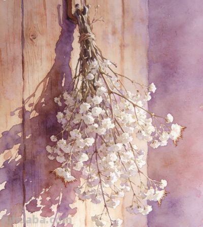 每日花语 · 一花一从容｜满天星：不必做主角，做自己就很好 - 图画吧TUHUABA