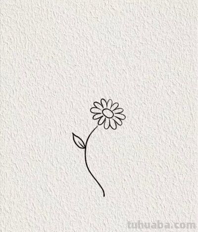 简笔绘就小花初绽 天真烂漫丨画个简笔画分享 - 图画吧TUHUABA