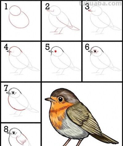 原来画动物，这么简单！（附详细教程） - 今日头条