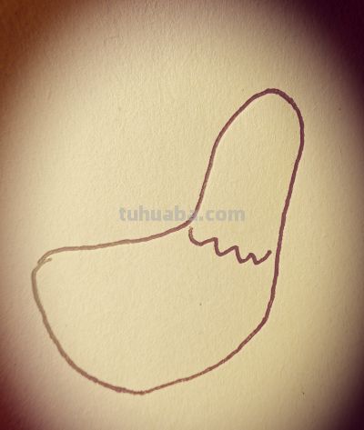 简笔画|大公鸡，坚守初心 认真做事 - 今日头条