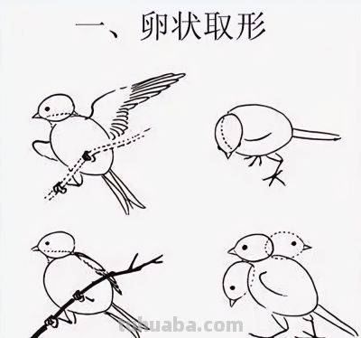 这鸟的姿势太优美啦！几张图快速教你如何画！ - 图画吧TUHUABA