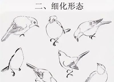 这鸟的姿势太优美啦！几张图快速教你如何画！ - 图画吧TUHUABA