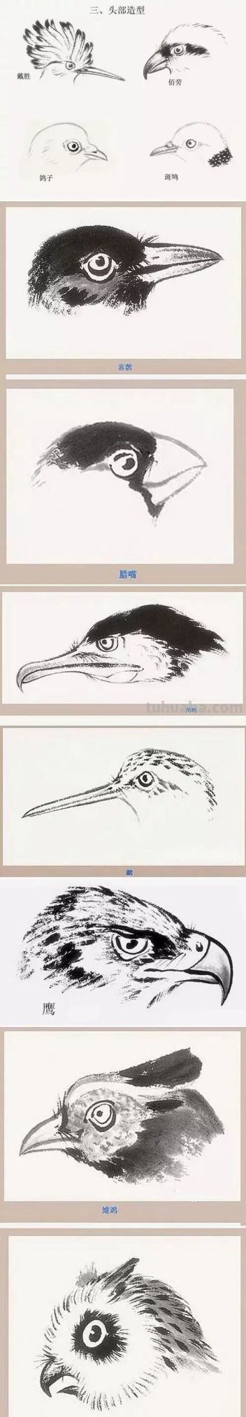 这鸟的姿势太优美啦！几张图快速教你如何画！ - 图画吧TUHUABA