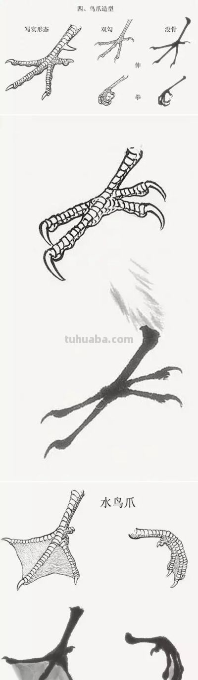 这鸟的姿势太优美啦！几张图快速教你如何画！ - 图画吧TUHUABA