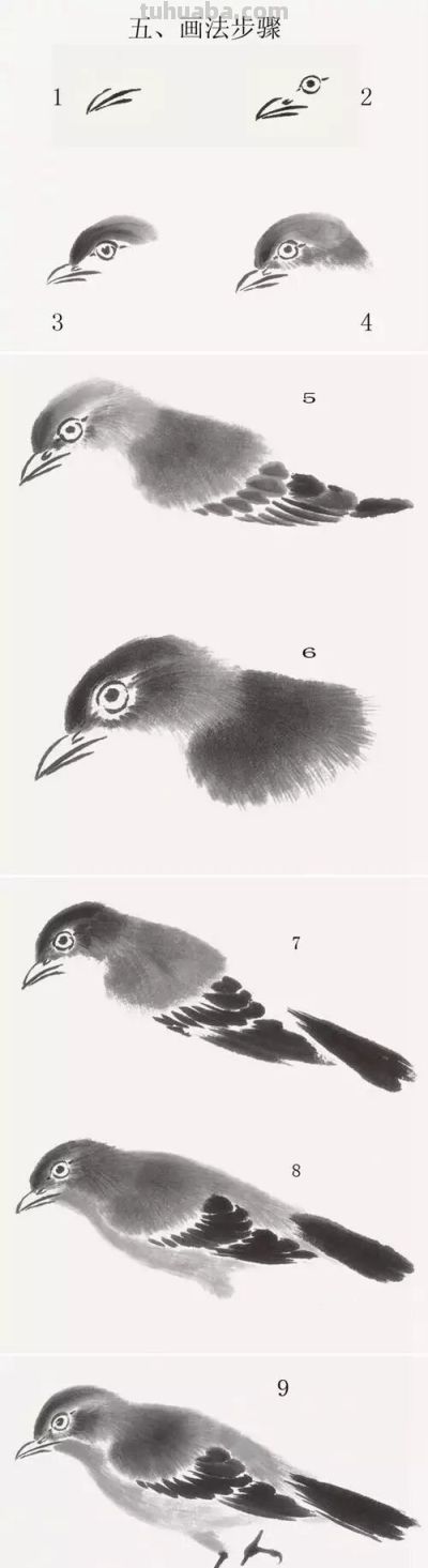 这鸟的姿势太优美啦！几张图快速教你如何画！ - 图画吧TUHUABA