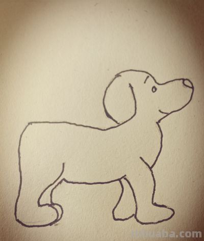 简笔画|家狗，寥寥线条写尽一生陪伴 - 图画吧TUHUABA