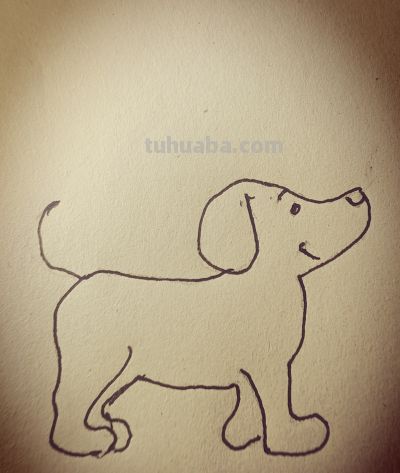 简笔画|家狗，寥寥线条写尽一生陪伴 - 图画吧TUHUABA