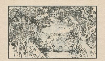 翠鸟衣-湖南美术出版社1983 郑一呼 绘 - 图画吧TUHUABA