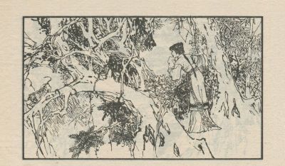 翠鸟衣-湖南美术出版社1983 郑一呼 绘 - 图画吧TUHUABA