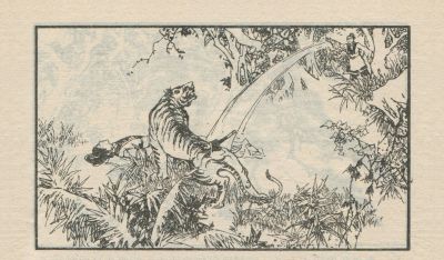 翠鸟衣-湖南美术出版社1983 郑一呼 绘 - 图画吧TUHUABA