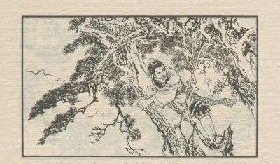 翠鸟衣-湖南美术出版社1983 郑一呼 绘 - 图画吧TUHUABA