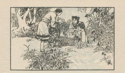 翠鸟衣-湖南美术出版社1983 郑一呼 绘 - 图画吧TUHUABA