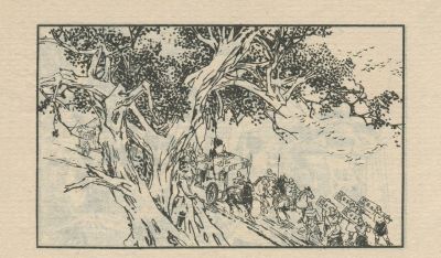 翠鸟衣-湖南美术出版社1983 郑一呼 绘 - 图画吧TUHUABA