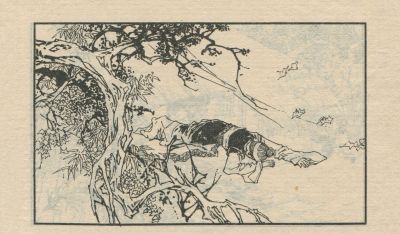 翠鸟衣-湖南美术出版社1983 郑一呼 绘 - 图画吧TUHUABA