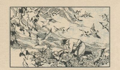 翠鸟衣-湖南美术出版社1983 郑一呼 绘 - 图画吧TUHUABA