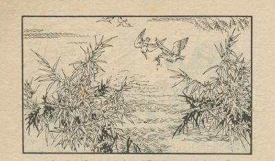 翠鸟衣-湖南美术出版社1983 郑一呼 绘 - 图画吧TUHUABA