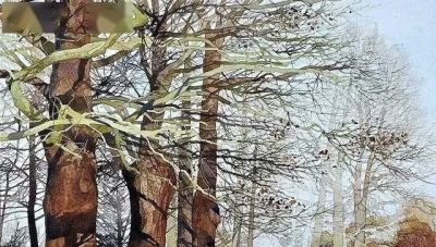 英国写实派水彩画家伊恩·西达威作品 - 图画吧TUHUABA