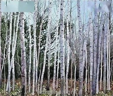 英国写实派水彩画家伊恩·西达威作品 - 图画吧TUHUABA