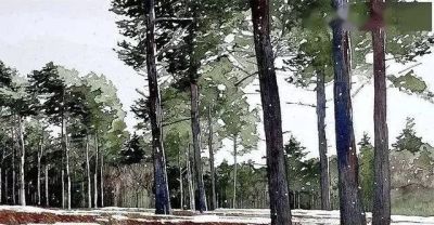 英国写实派水彩画家伊恩·西达威作品 - 图画吧TUHUABA