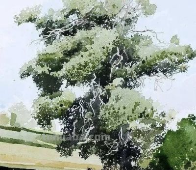 英国写实派水彩画家伊恩·西达威作品 - 图画吧TUHUABA