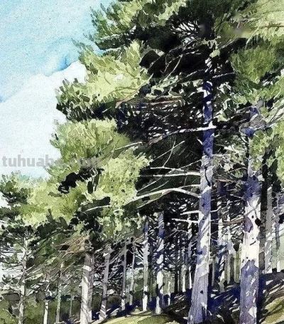 英国写实派水彩画家伊恩·西达威作品 - 图画吧TUHUABA