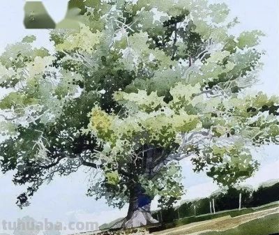 英国写实派水彩画家伊恩·西达威作品 - 图画吧TUHUABA