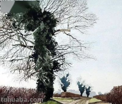 英国写实派水彩画家伊恩·西达威作品 - 图画吧TUHUABA