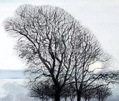 英国写实派水彩画家伊恩·西达威作品 - 图画吧TUHUABA