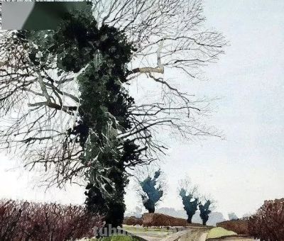 英国写实派水彩画家伊恩·西达威作品 - 图画吧TUHUABA