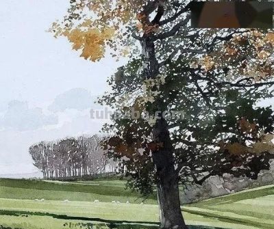 英国写实派水彩画家伊恩·西达威作品 - 图画吧TUHUABA