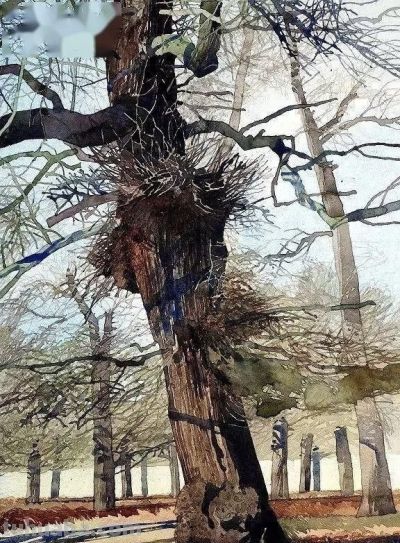 英国写实派水彩画家伊恩·西达威作品 - 图画吧TUHUABA