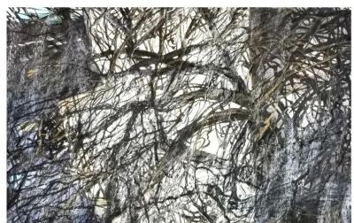 丁寺钟｜湖畔青澜·首届全国青年水彩画作品邀请展特邀艺术家 - 图画吧TUHUABA