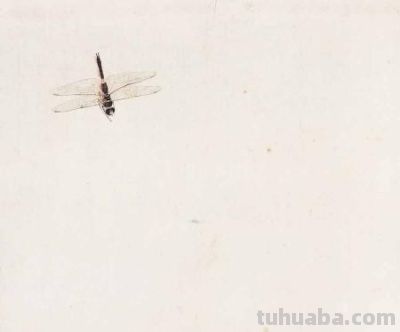 化身“田野考察家”，探寻齐白石的昆虫世界 - 图画吧TUHUABA
