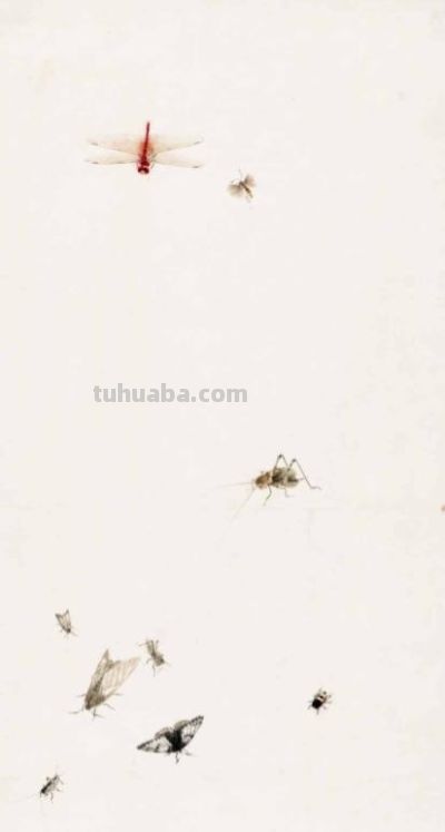 化身“田野考察家”，探寻齐白石的昆虫世界 - 图画吧TUHUABA