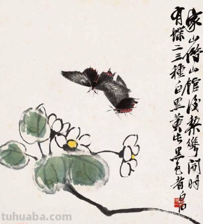 化身“田野考察家”，探寻齐白石的昆虫世界 - 图画吧TUHUABA