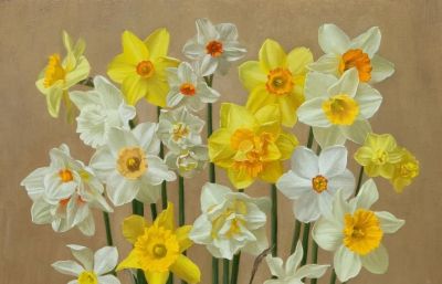 细腻优雅的花卉静物画 | Henrietta Smith - 图画吧TUHUABA